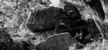 230315_mostraporia_divulgacao.jpg