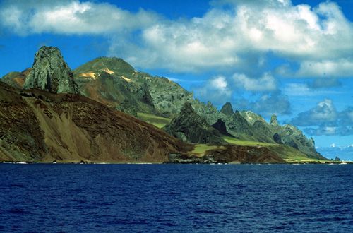 trindade_tamar.jpg