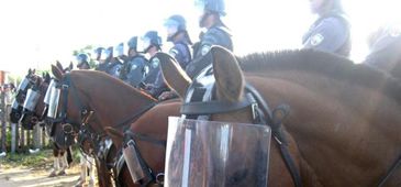 240415_cavalaria_pmes.jpg