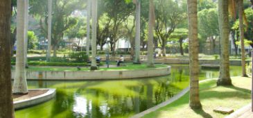 270515_mostrafotografica_semus.jpg