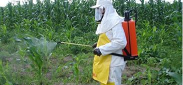 30102013_agrotoxico_al_gov_b_20200308-135554_1.jpg