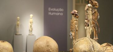 270615_exposicao_divulgacao.jpg