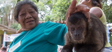 160715_joana_macaco_leosa.png
