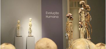 160815_corpohumano_divulgacao.jpg