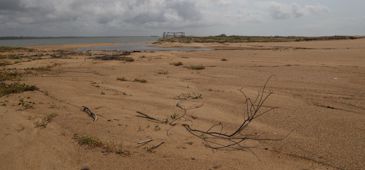 041115_riodoce_gl.jpg