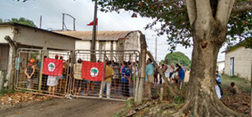 251115_mst_fazendaagril_mst.png