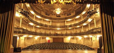301115_theatrocarlosgomes_divulgacao.jpg