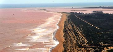 060116_mancha_litoral_abr.jpg