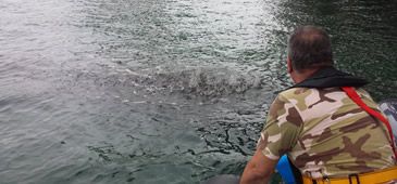 220116_chuva_minerio_divulgacao_pf.jpg