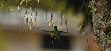 270216_ReinaldoCarvalho_Divulgacao_01.jpg