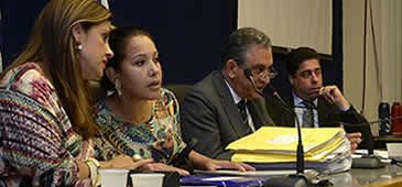 070316_CPIGuincho_ReinaldoCarvalho_Ales_01.jpg