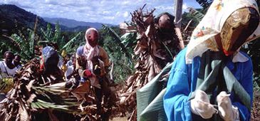 300316_congo.jpg