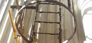100416_fibria_divulgacao_sinticel.jpg