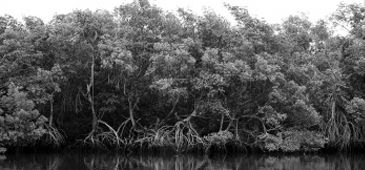 010516_exposicao_divulgacao.jpg