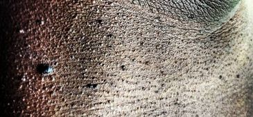 180516_porografia_luaramonteiro.jpg