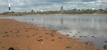 180716_barraseca_lesmas_elianebalke.png