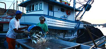 26082014_pescadores_leos_20200308-175934_1.jpg