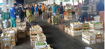 280716_Ceasa_Divulgacao_1.jpg