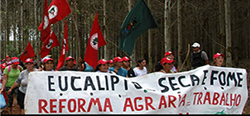 210916_diaeucalipto_retoma.png