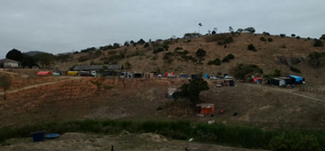 250816_mst_ecoporangams_20200308-182056_1.png