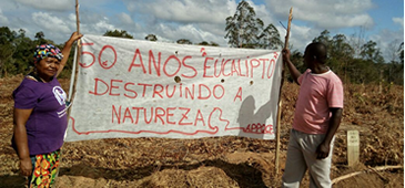 191016_quilombolas_retomada.png