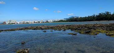 301216_parque_atlantico_jovana_aparecida_demoner.jpg
