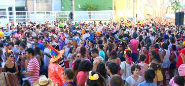 310117_carnavalgrandevitoria_divulgacao.jpg