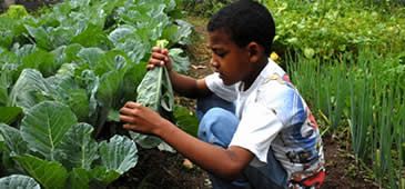 25092013_educacaonocampo_joaobittar_me_20200308-194605_1.jpg