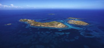 08032017_lama_abrolhos_Marcello_Lorenco_ICMBio.jpg