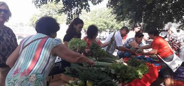 29032017_feira_agroecologica_centro_vix_Amacentro.jpg