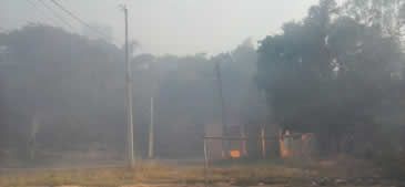 09042017_incendio_matas_aldeias_Mayno_Cunha_da_Silva.jpg
