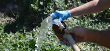 12042017_saude_agua_lama_greenpeace_DivulgacaoBiof_UFRJ.jpg