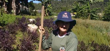 15042017_mulheres_na_agricultura_Facebook_Selene_Tesch.jpg