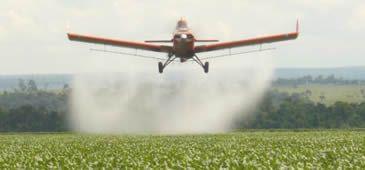 070517_aviao_agrotoxico_fase.jpg