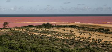06062017_estudo_greenpeace_foz_Nicolo_Lanfranchi_Greenpeace.jpg