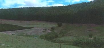 22062017_fazenda_leilao_iuna_capa.jpg