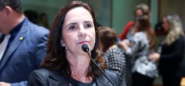 01072017_reuniao_renova_eliana_dadalto_Tati_Beling_ALES.jpg