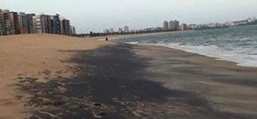 301115_mineriocamburi_aap_20200308-210606_1.png