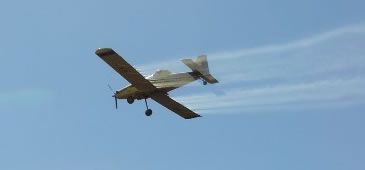 agrotoxico_aviao_meio_ambiente1.jpg