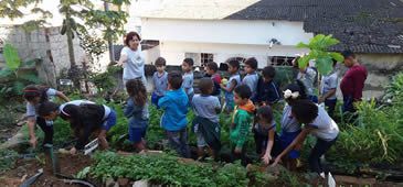 10112017_peticao_horta_comunitaria_facebook_quintal_da_cidade.jpg