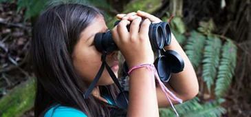 26112017_guia_aves_caparao_christel_bautz.jpg