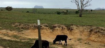 04012018_barragem_samambaia_sapi.jpg