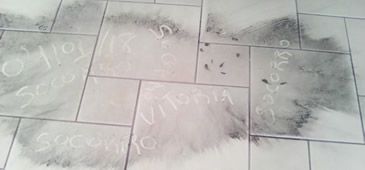 04012018_fundema_estudo_po_preto_exofre_juntos_sos_.jpg