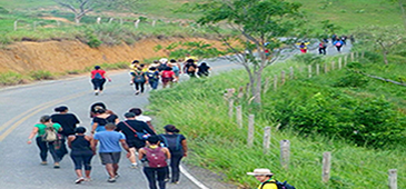 140318_caminhadazumbi_setur.png