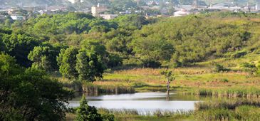 17062017_caminhada_Ecologica_lagoa_encantada_Wilmerman_Silva20Luci_20200308-223926_1.jpg