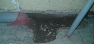 070418_escolacedrolC3A2ncia_fotoleitor.png