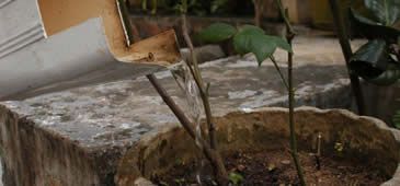 11052018_boletim_dengue_zika_chikungunya_influenza_sesa.jpg