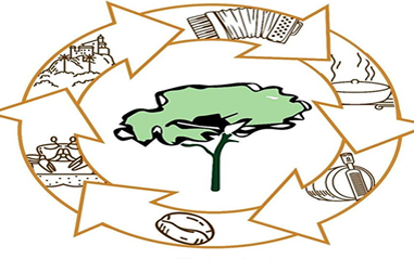 240718_encontroambiental.png