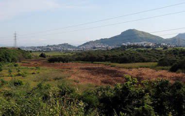 01082018_incendios_lagoa_encantada_ingridi_barros.jpg