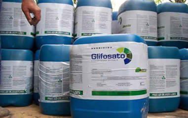 06082018_intoxicacoes_agrotoxicos_es_suspensao_glifosato_divulgacao.jpg